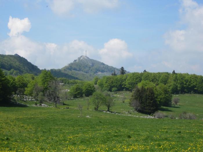 Grand Colombier
