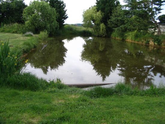 Le bonheur est dans le prè