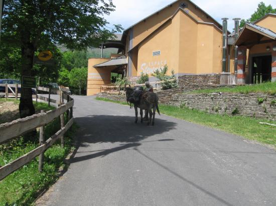 L'ancienne gare de Cassagnas