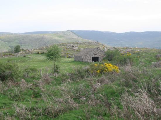 Cabane de berger