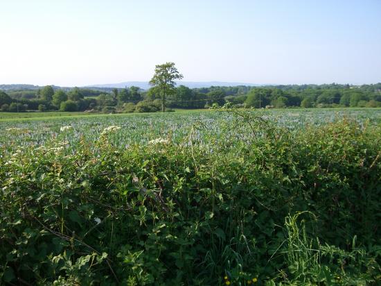 La campagne après St Marien