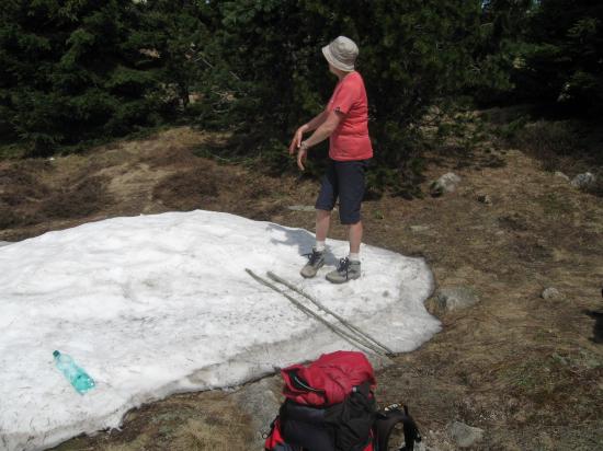 Plaque de neige